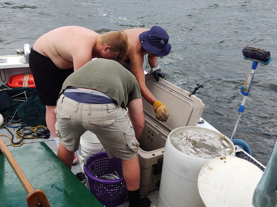 Wise Fishing Charters-美特尔海滩必去景点