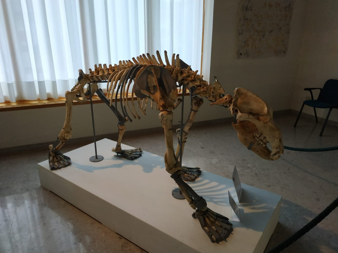 Museo della Grotta-Clauzetto必去景点