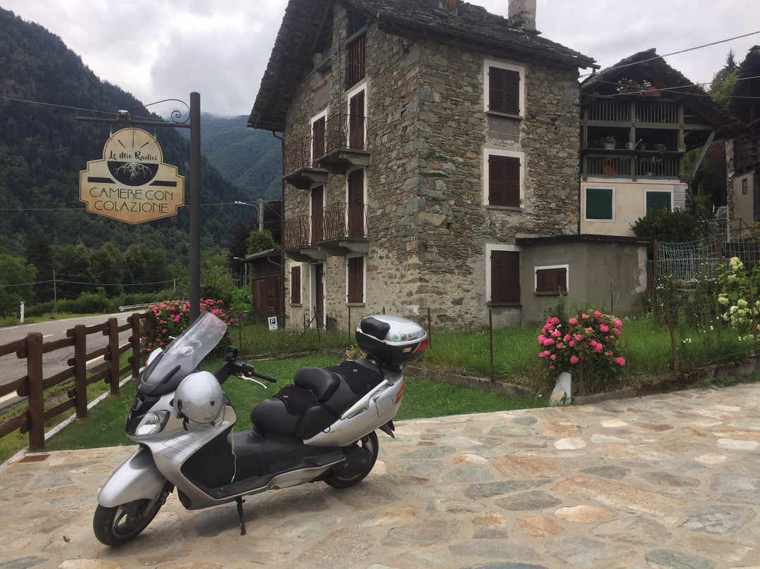 Le Mie Radici主图