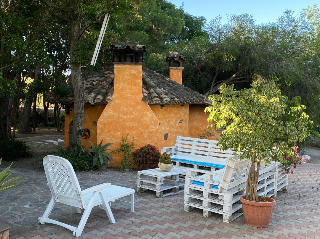 B&B Il Girasole主图