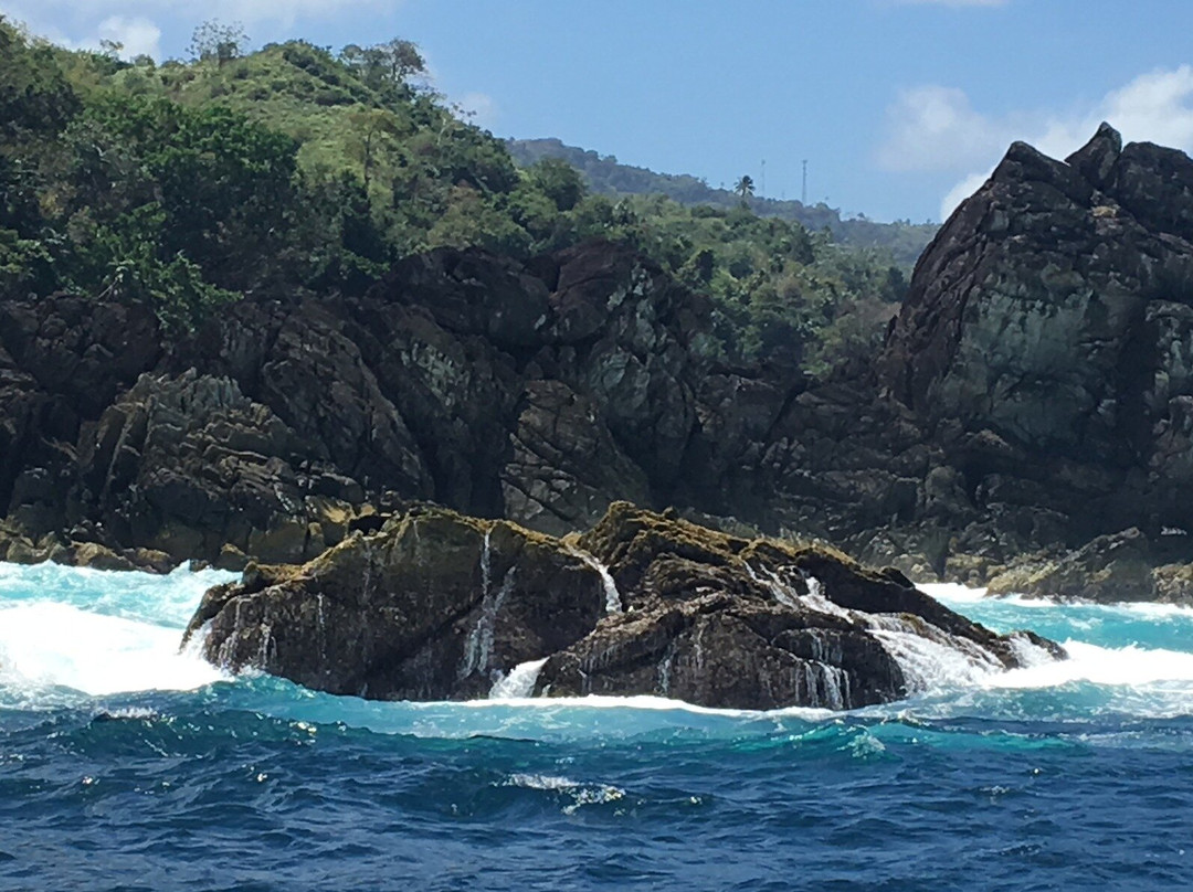 Tobago Adventure Tours