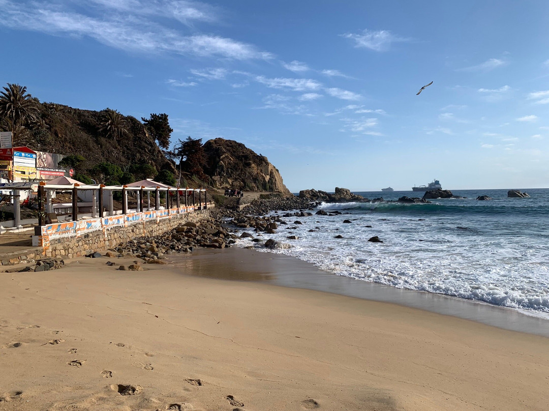 Playa La Salinas-比尼亚德尔马必去景点