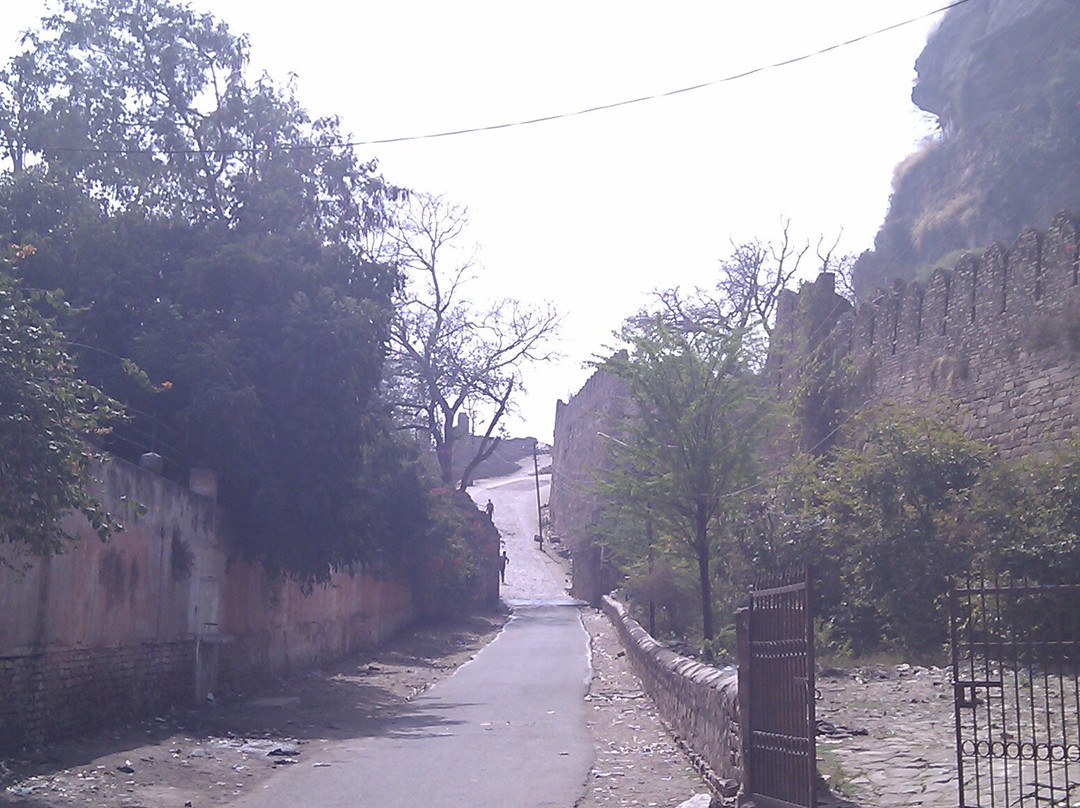 Gujari Mahal Archaeological Museum景点图片