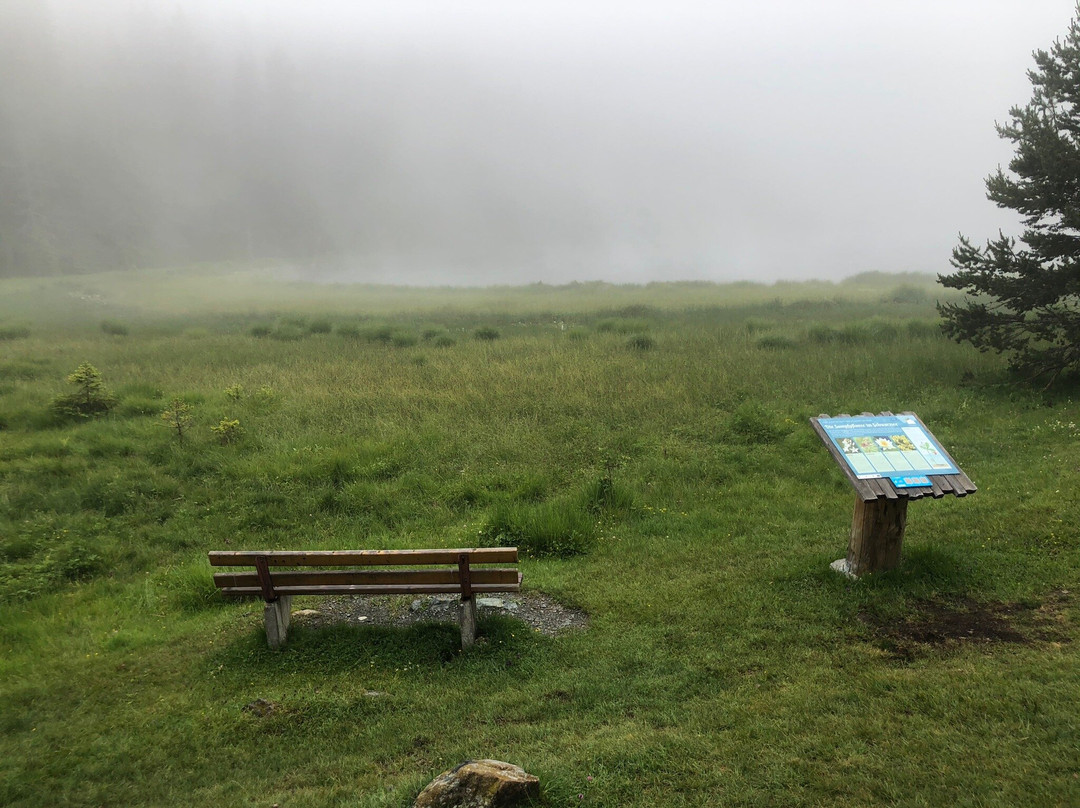 Schwarzer See-闹达斯必去景点