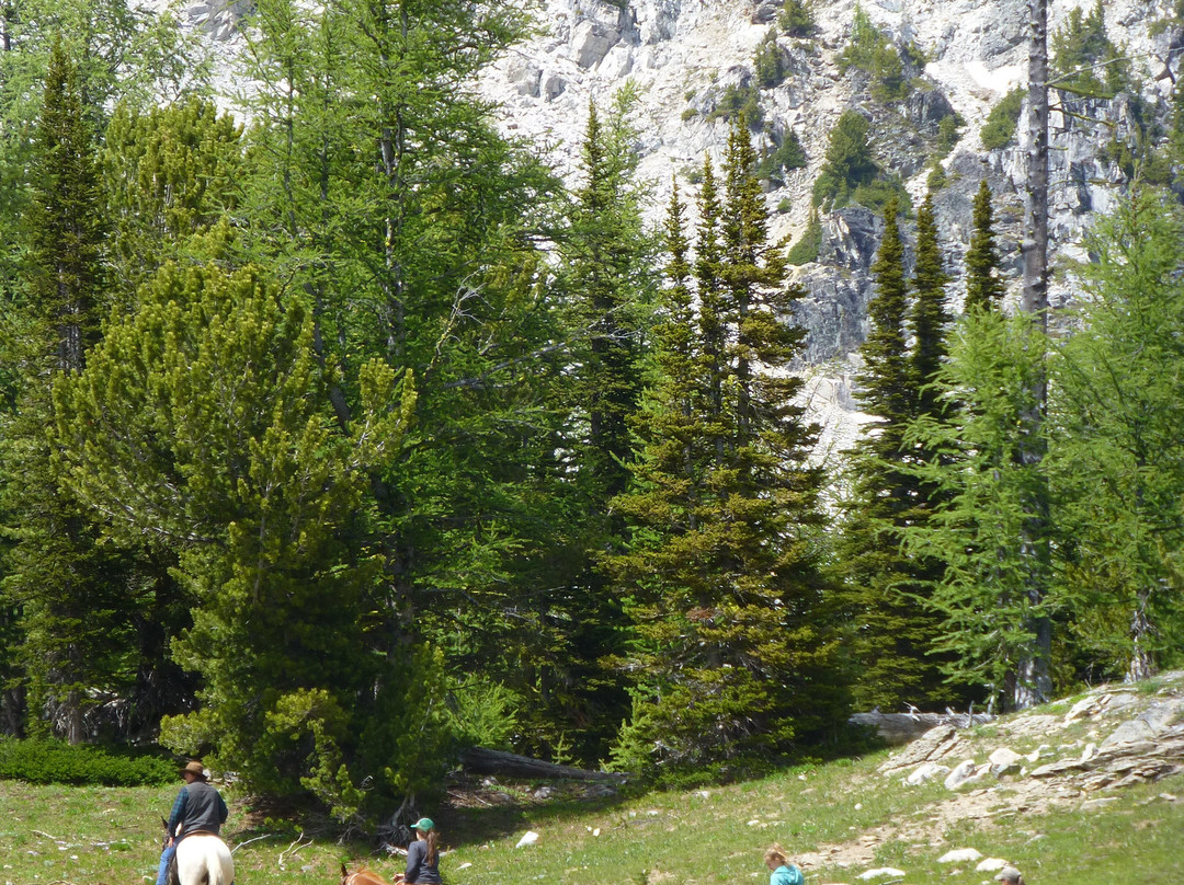 Early Winters Outfitting - Day Tours-Winthrop必去景点