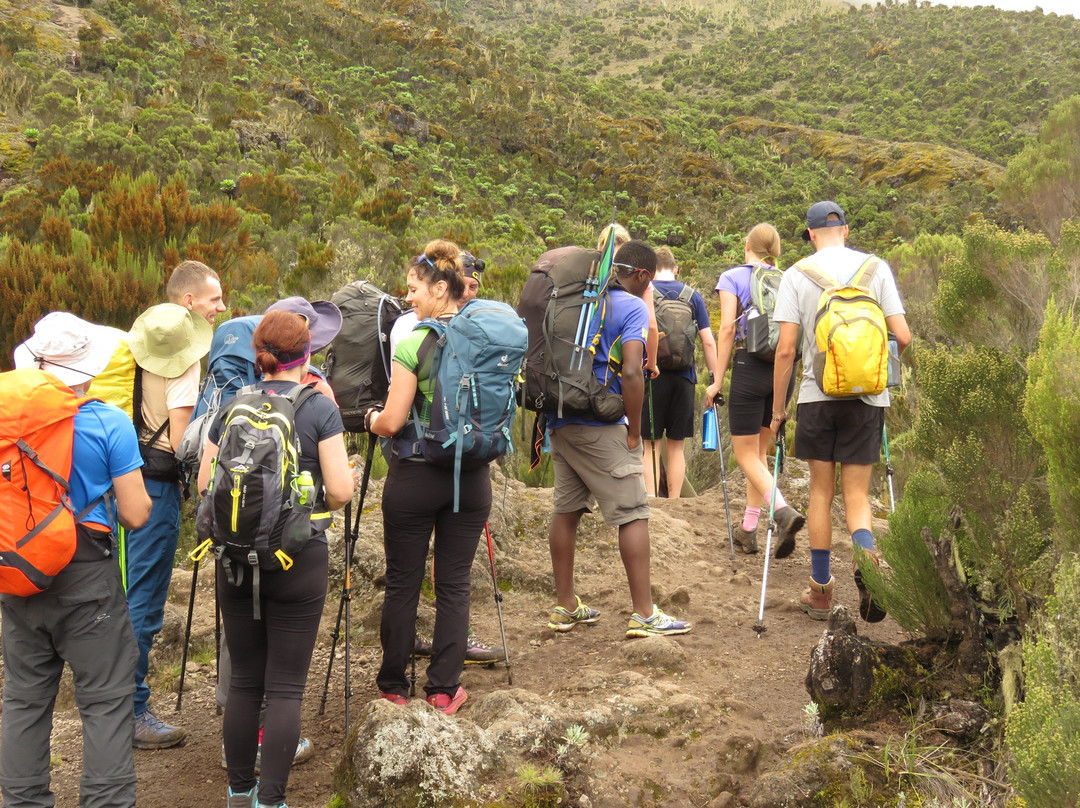 Kilimanjaro Hiking /Trekking Operator 2026/2027 With #1 AFRICA NATURAL  TOURS-Kibosho Magharibi必去景点