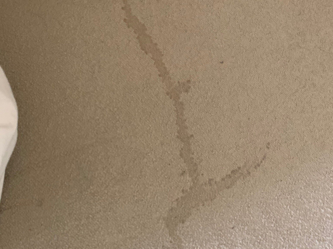 Home2 Suites By Hilton Rapid City主图