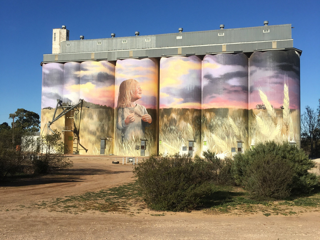 Viterra’s Kimba Silos-Kimba必去景点