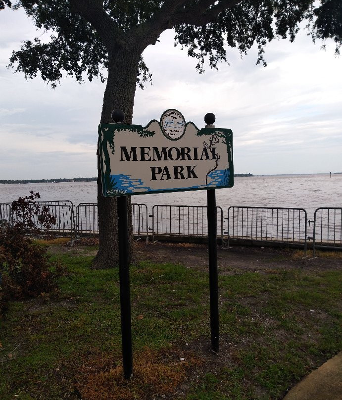 Memorial Park景点图片
