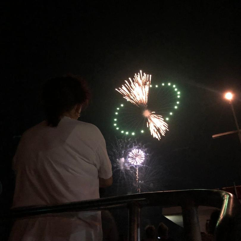 Dolphin Docks-Port Isabel必去景点