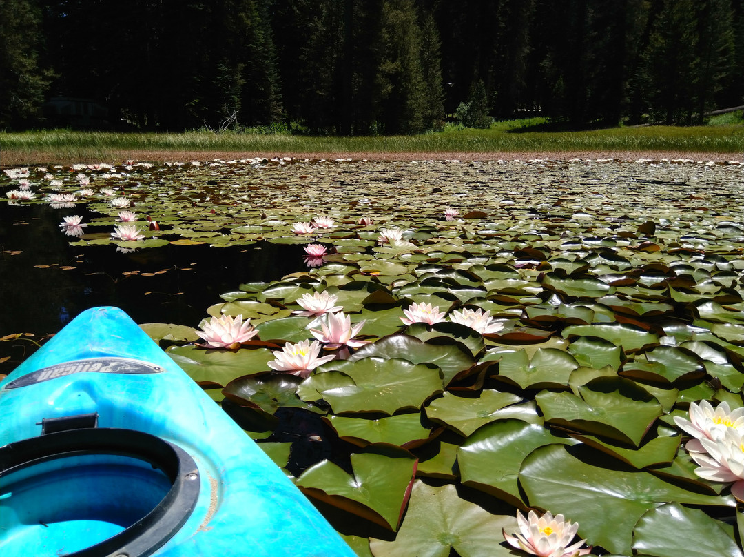 Montecito Sequoia Lodge & Summer Family Camp主图