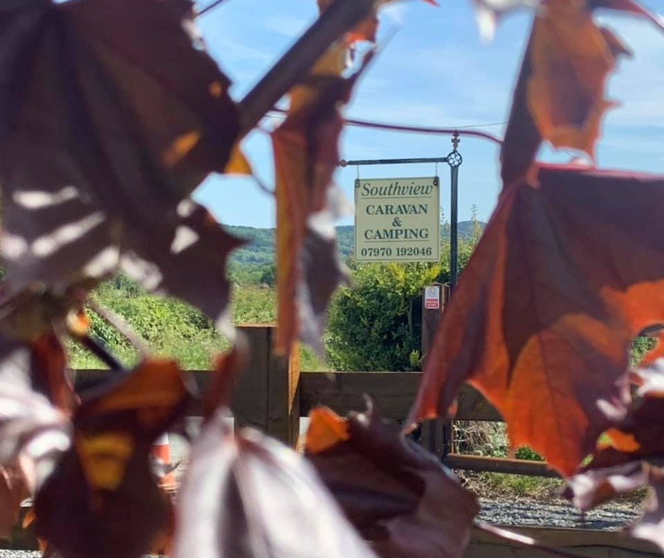 Southview Caravan and Camping