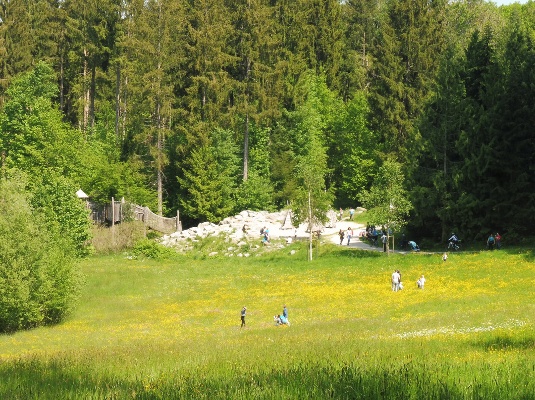 Weltwald景点图片