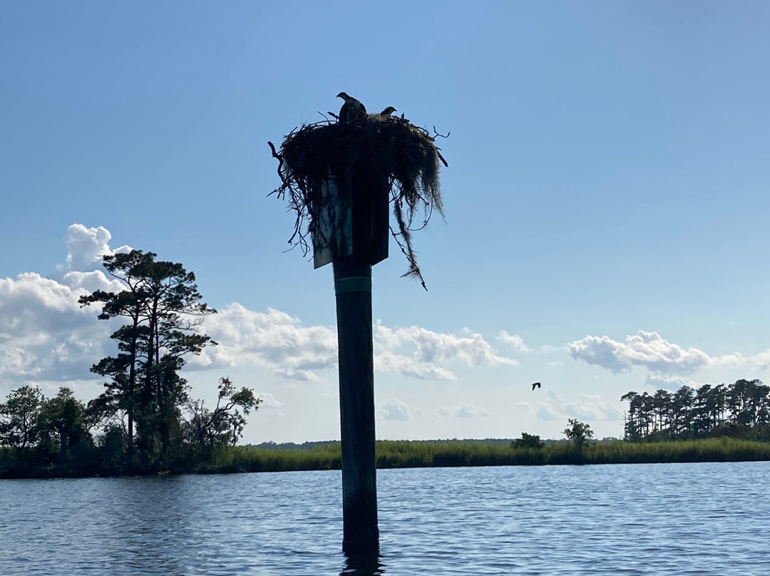 Stillwater Kayaks-新伯尔尼必去景点