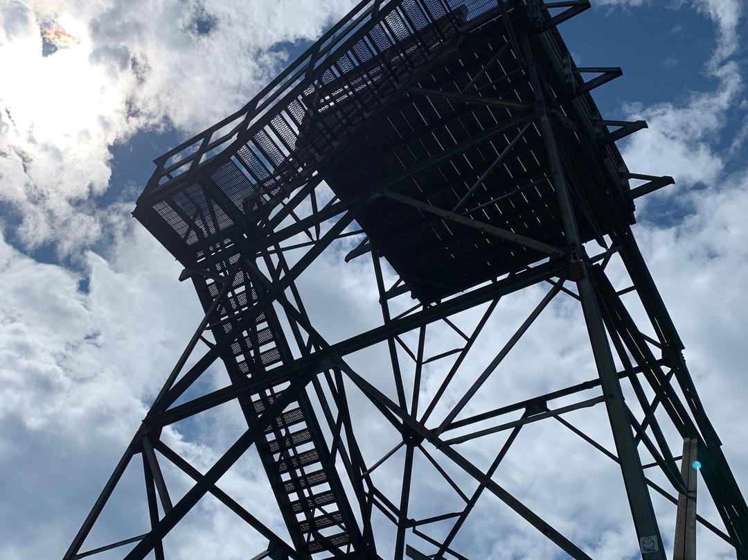 Bickel Knob Observation Tower-Elkins必去景点