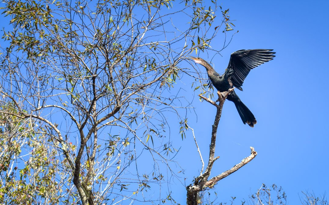Everglades Adventures Kayak & Eco Tours-大沼泽地必去景点