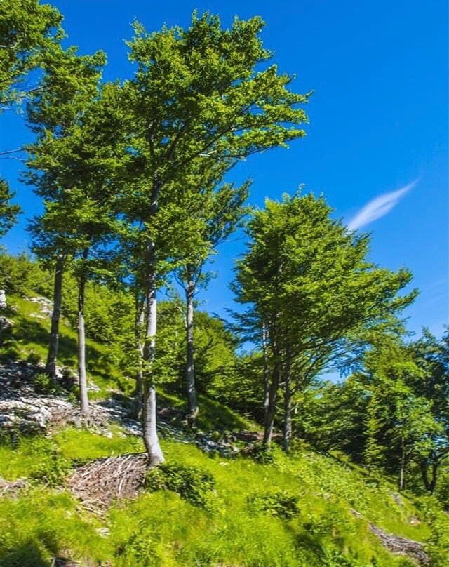 Passo del Cuvignone-Cittiglio必去景点
