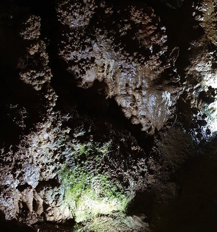 Resavska Cave-Despotovac必去景点