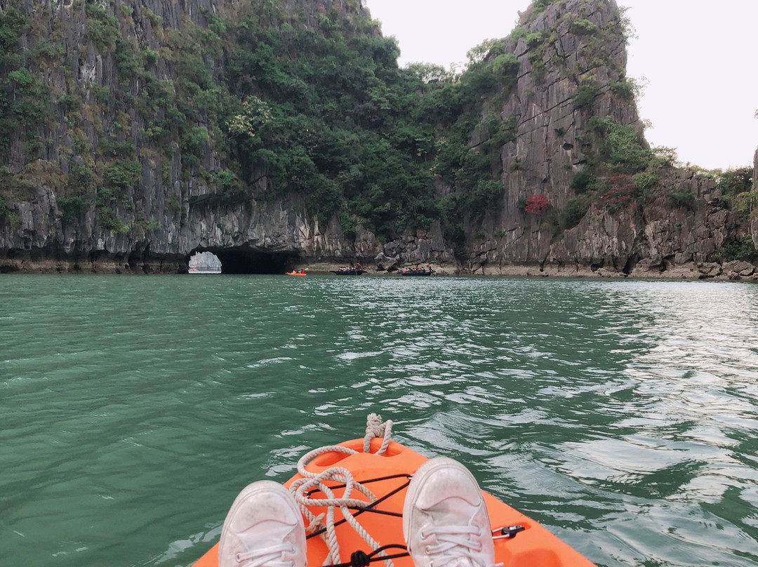 President Cruises-Ha Long City必去景点