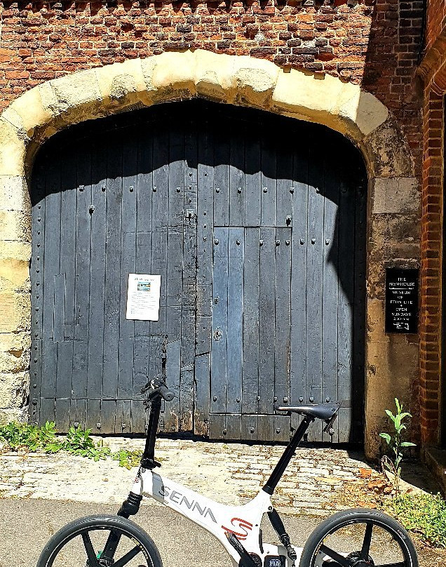 Eton College Natural History Museum-Eton必去景点