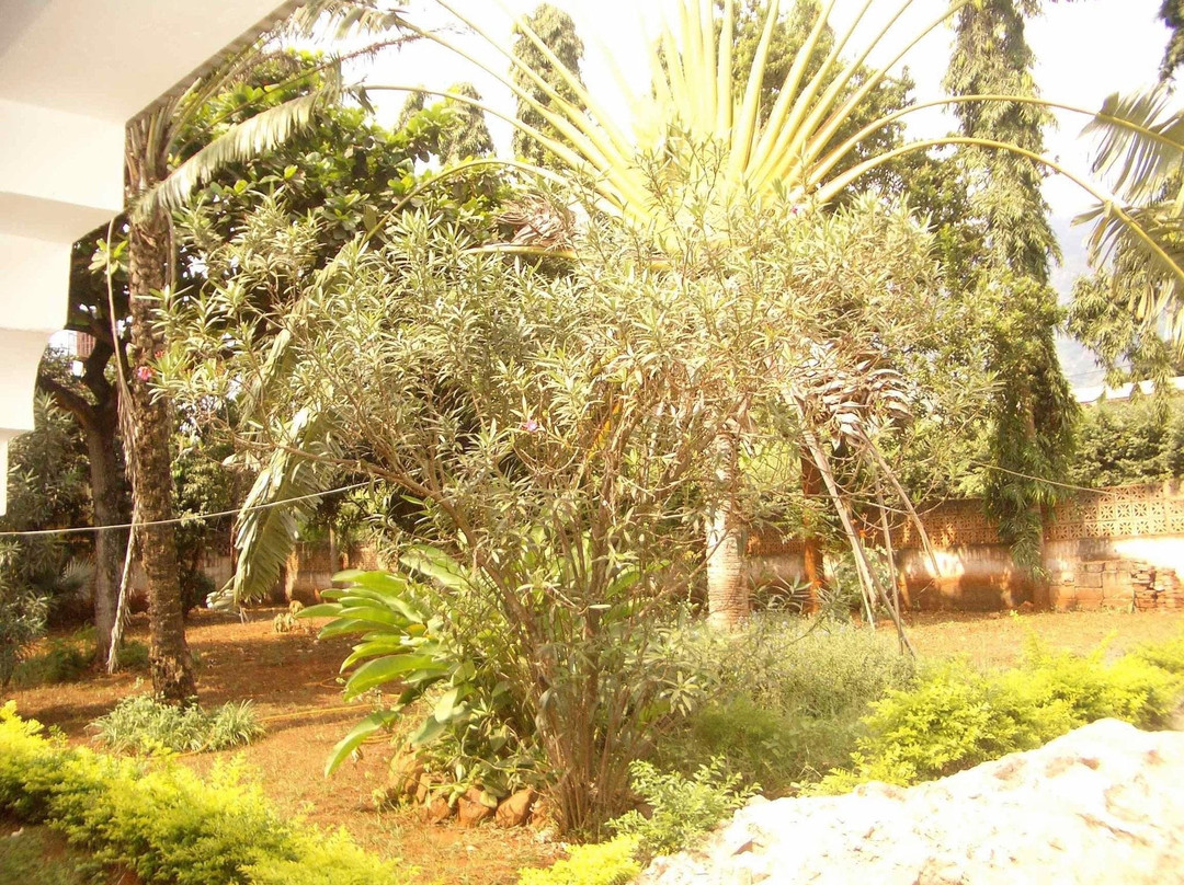 莫洛哥罗酒店住宿-Mama Pierina Restaurant and Annex