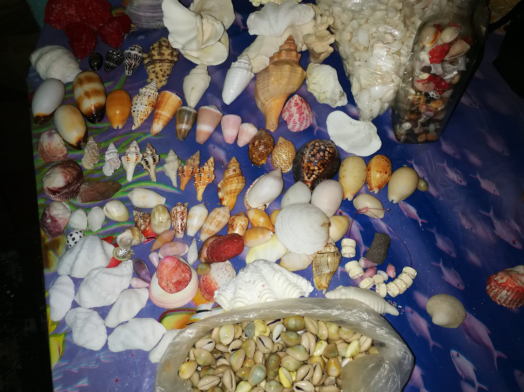 Musée du Coquillage-贝尔欧布莱必去景点
