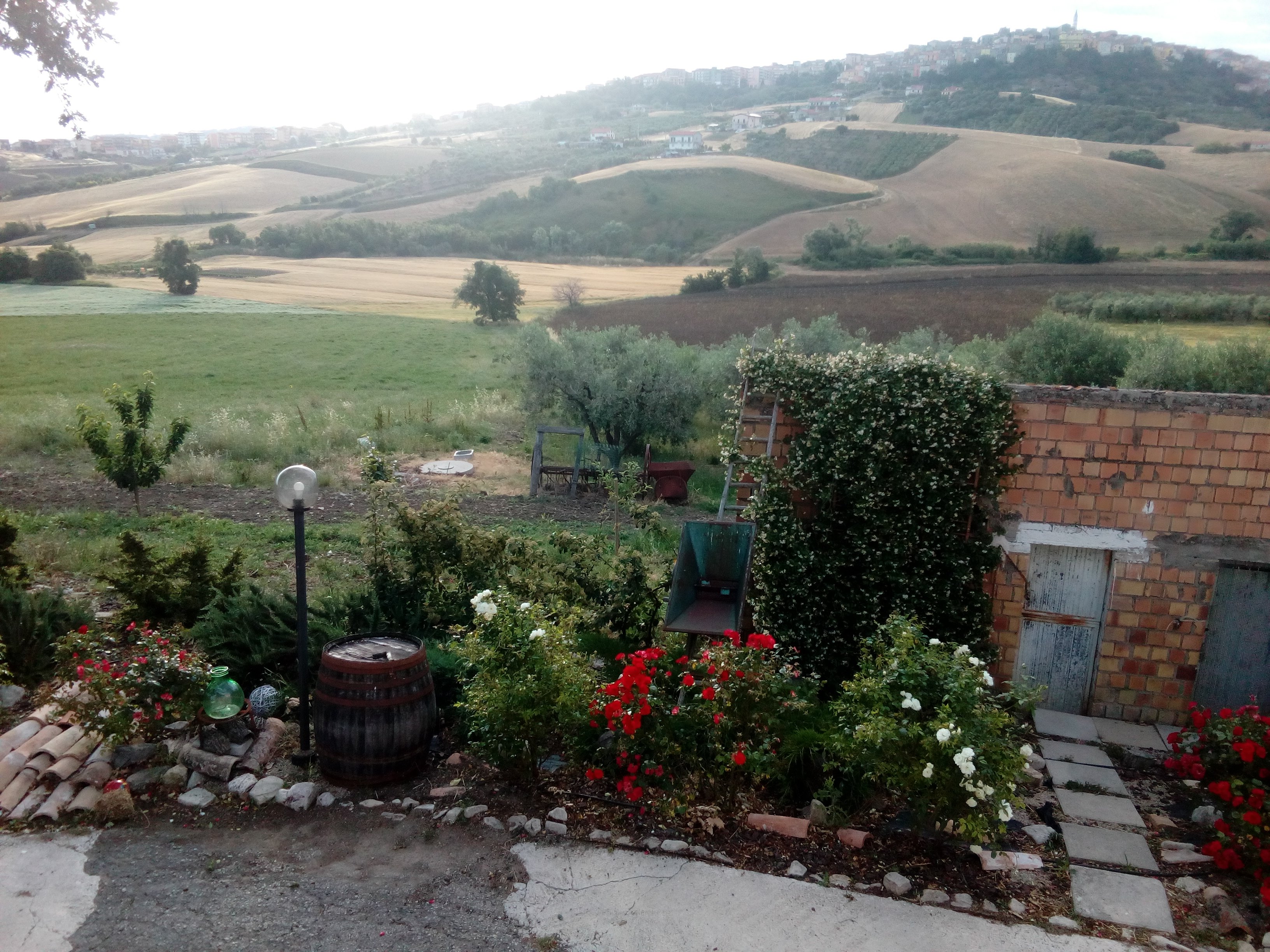 B&B Pozzo Innamorato-酒店景观