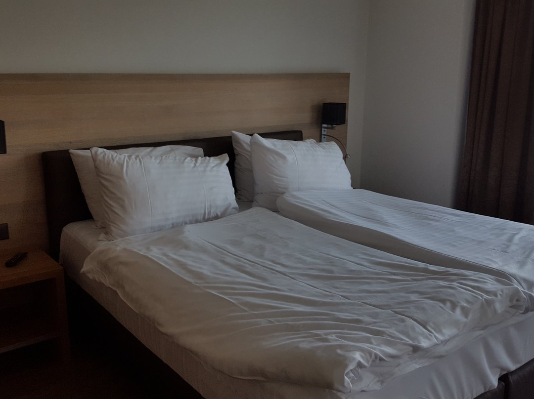 Hostellerie le Vignier主图
