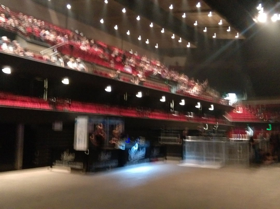 Adelaide Entertainment Centre景点图片