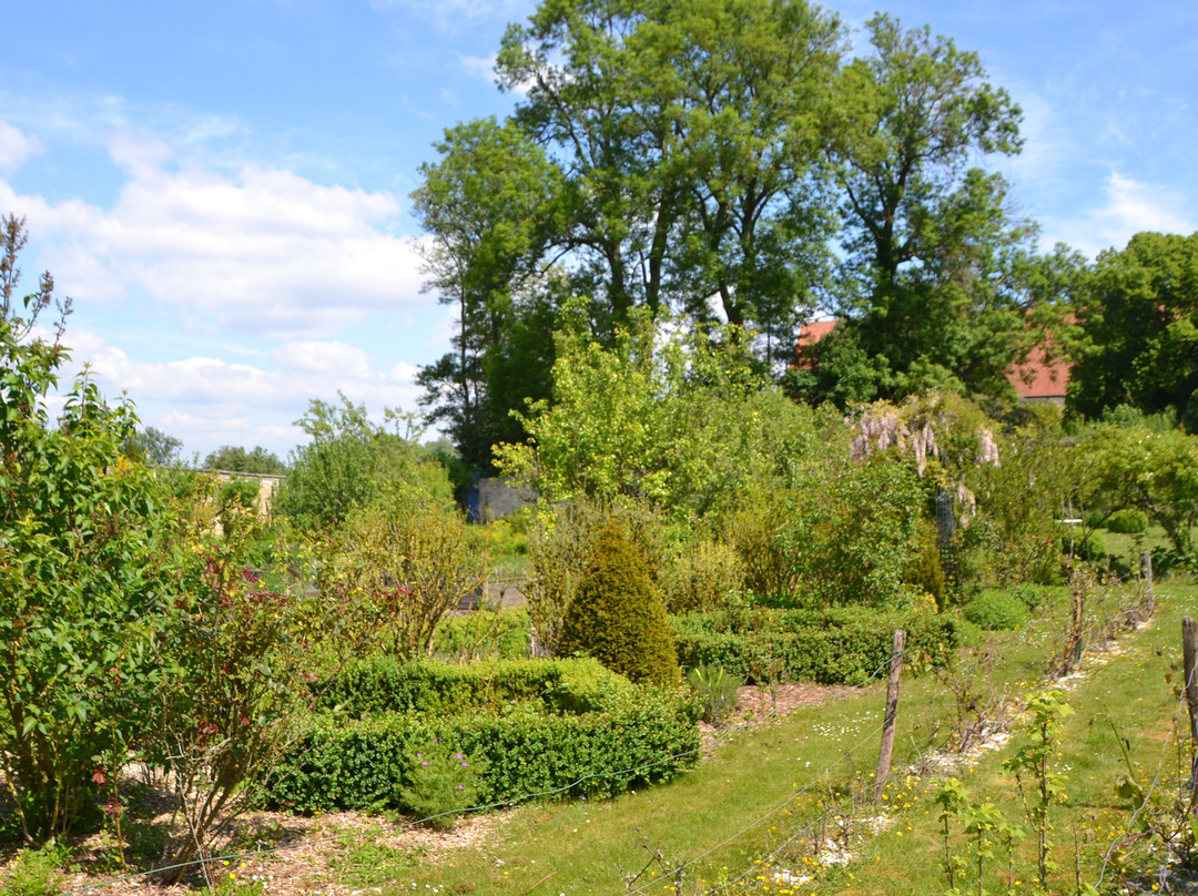 Abbaye de Vaucelles景点图片