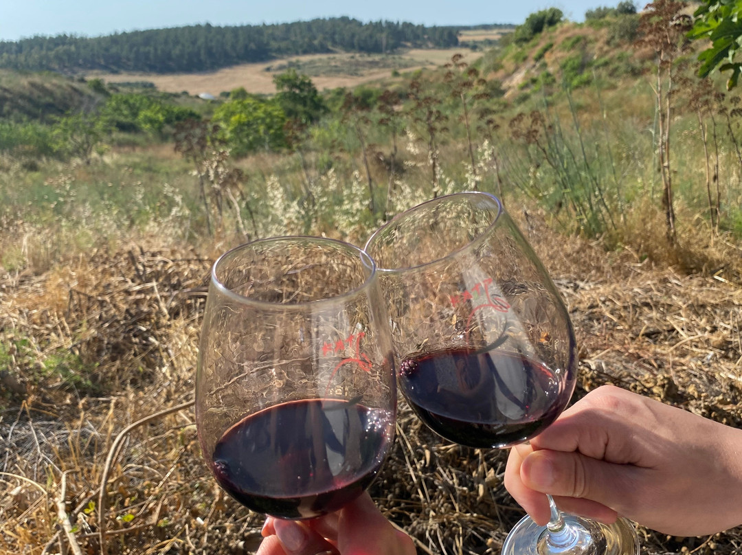 Kadma Winery-Kfar Uriah必去景点