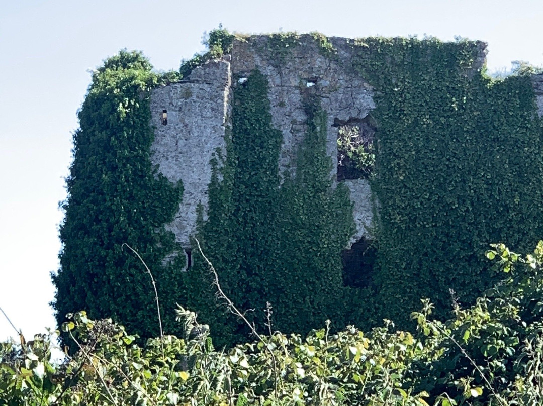 Puck's Castle Ruins-Shankill必去景点