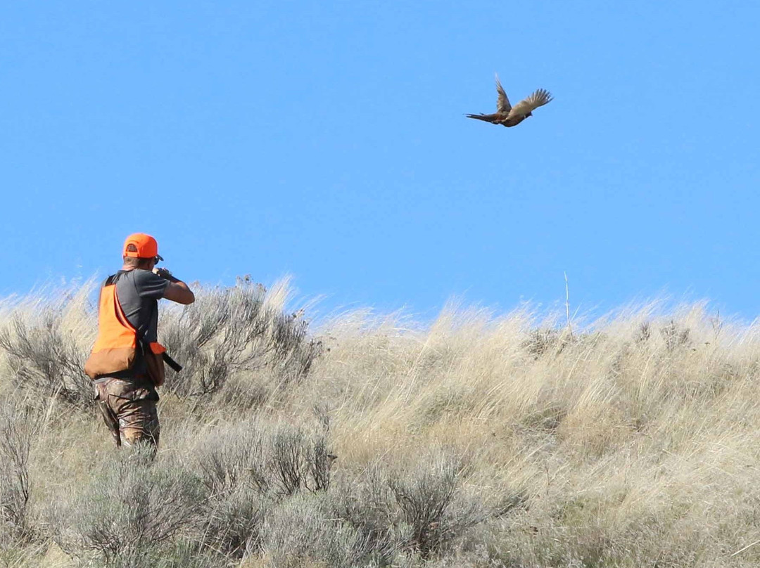 Ruggs Ranch Hunting Preserve-Heppner必去景点