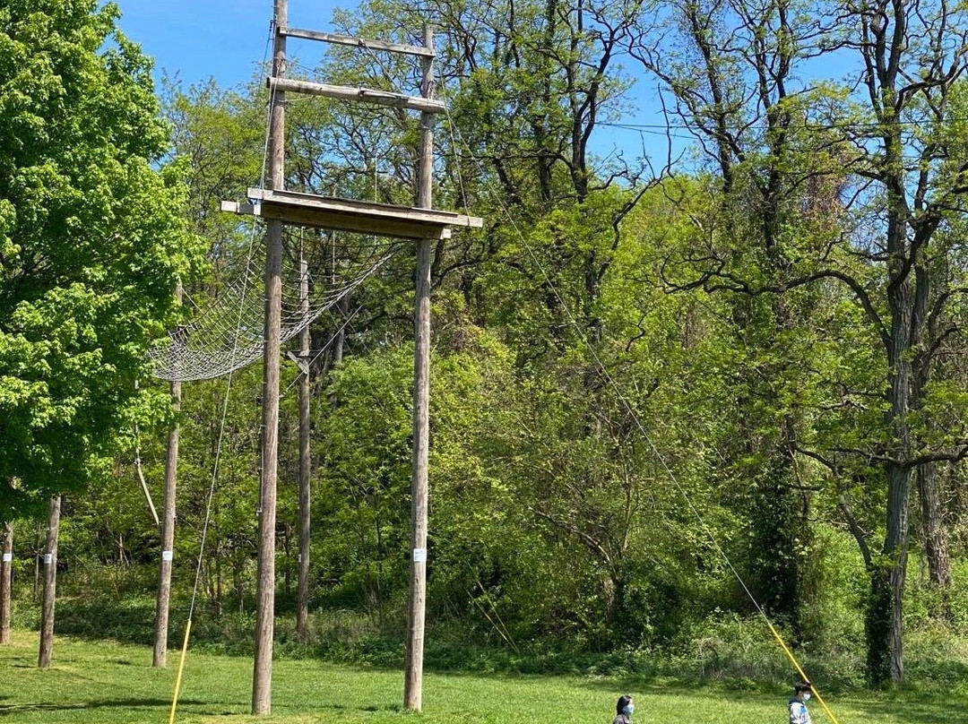 Alley Pond Park-Oakland Gardens必去景点