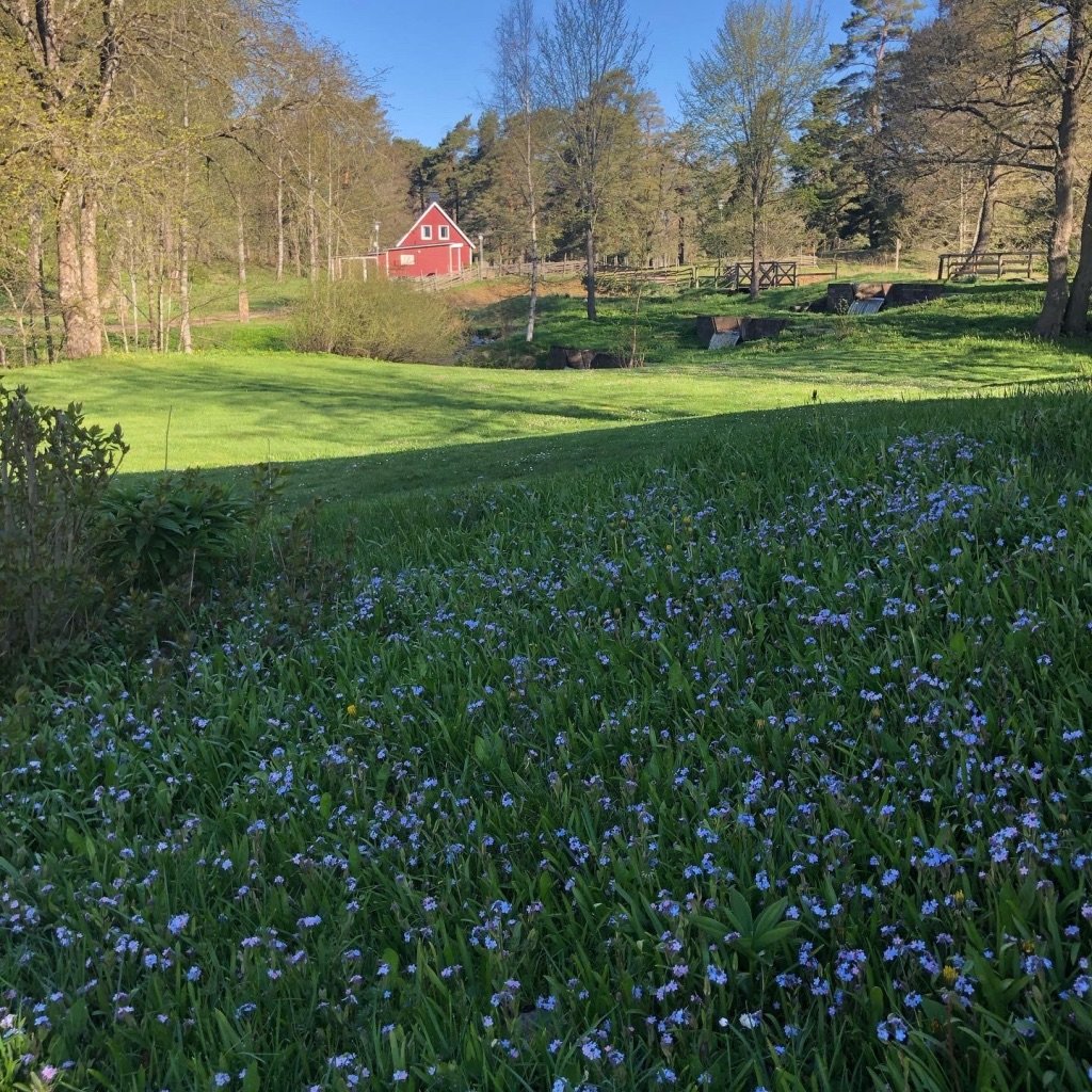 Kvarndammens Bed and Breakfast-官方