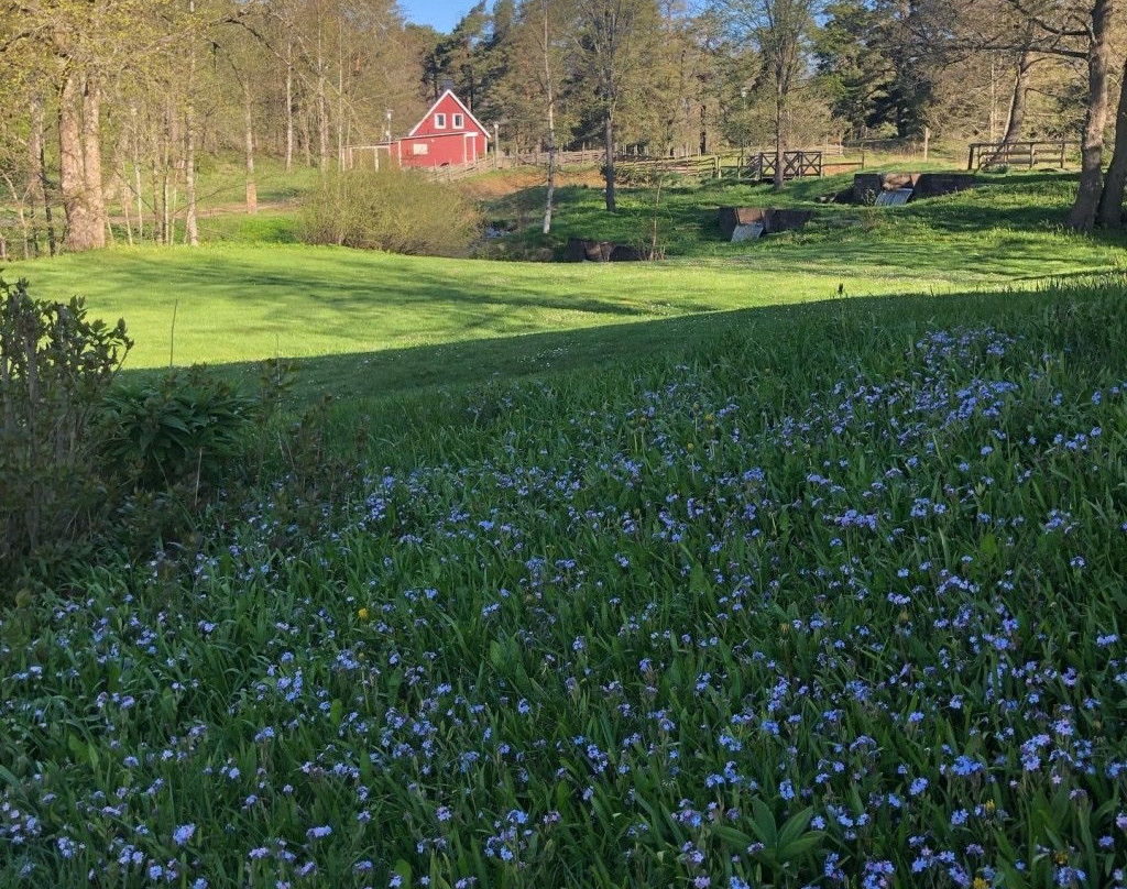 Vetlanda酒店住宿-Kvarndammens Bed and Breakfast