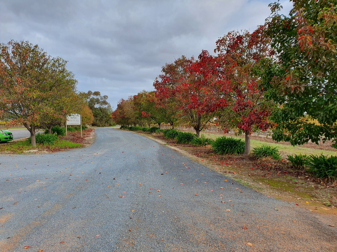 Angas Plains Wines景点图片