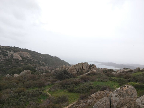 Green Oliver-塞萨洛尼基必去景点