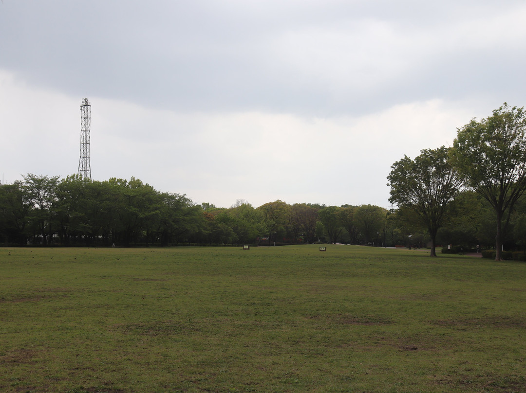 Higashimurayama Central Park-东村山市必去景点