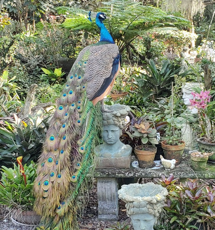 Metals and Nature-普兰特城必去景点