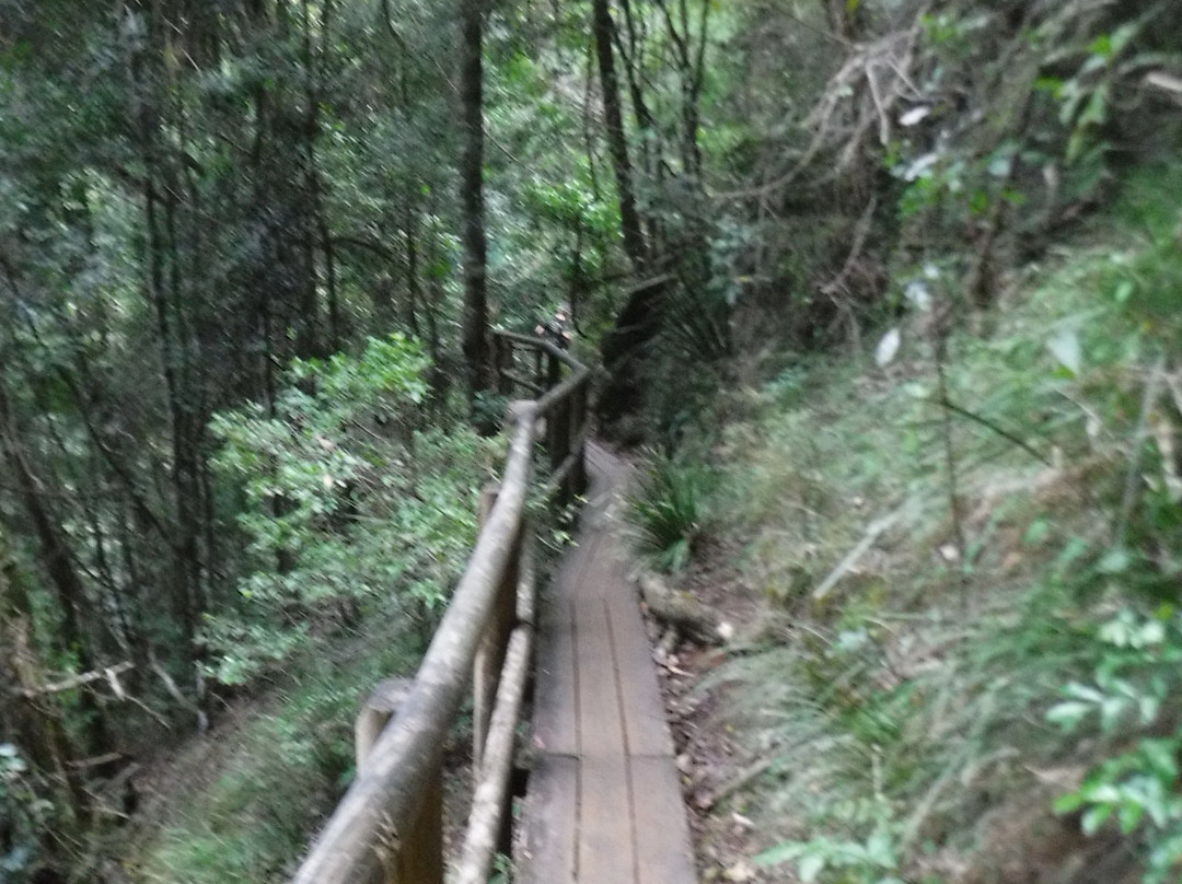 Ellenborough Falls-Elands必去景点