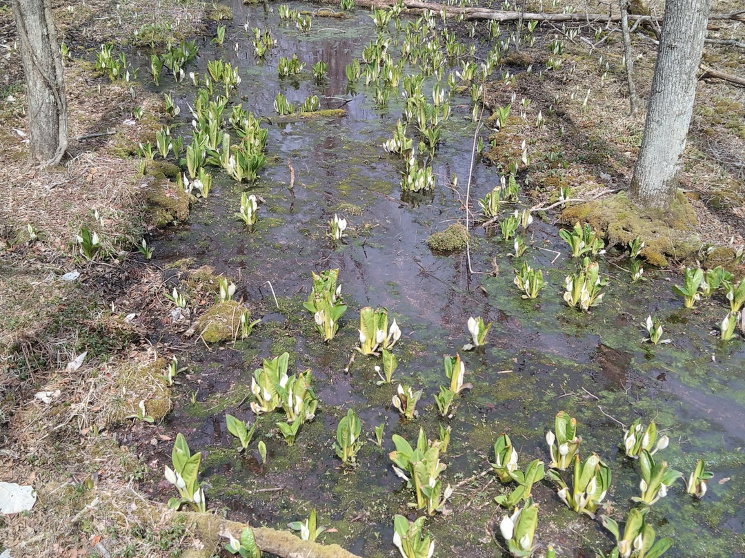 波罗多湖-白老町必去景点