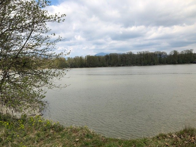 Derby Reach Regional Park-Walnut Grove必去景点