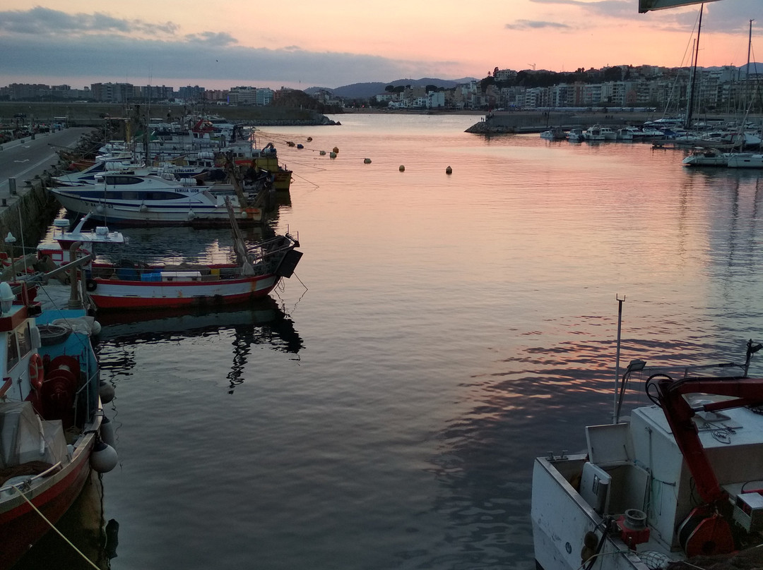 Port de Blanes景点图片