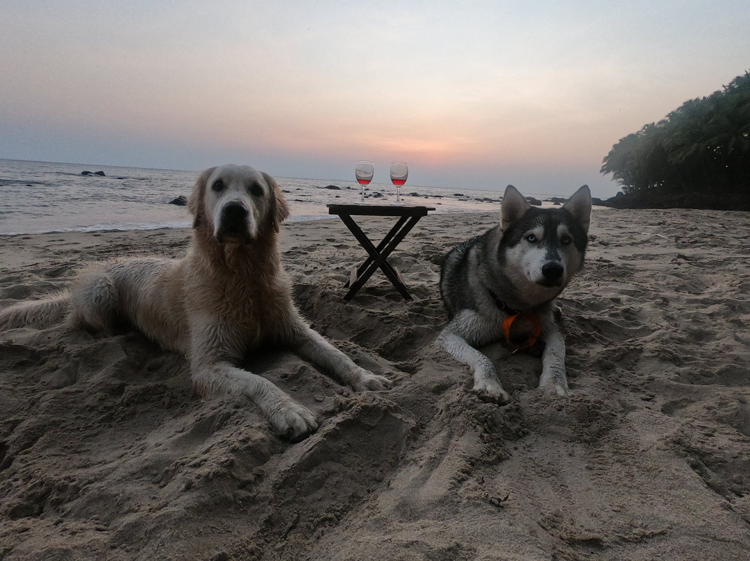 Belantara Beach Front主图