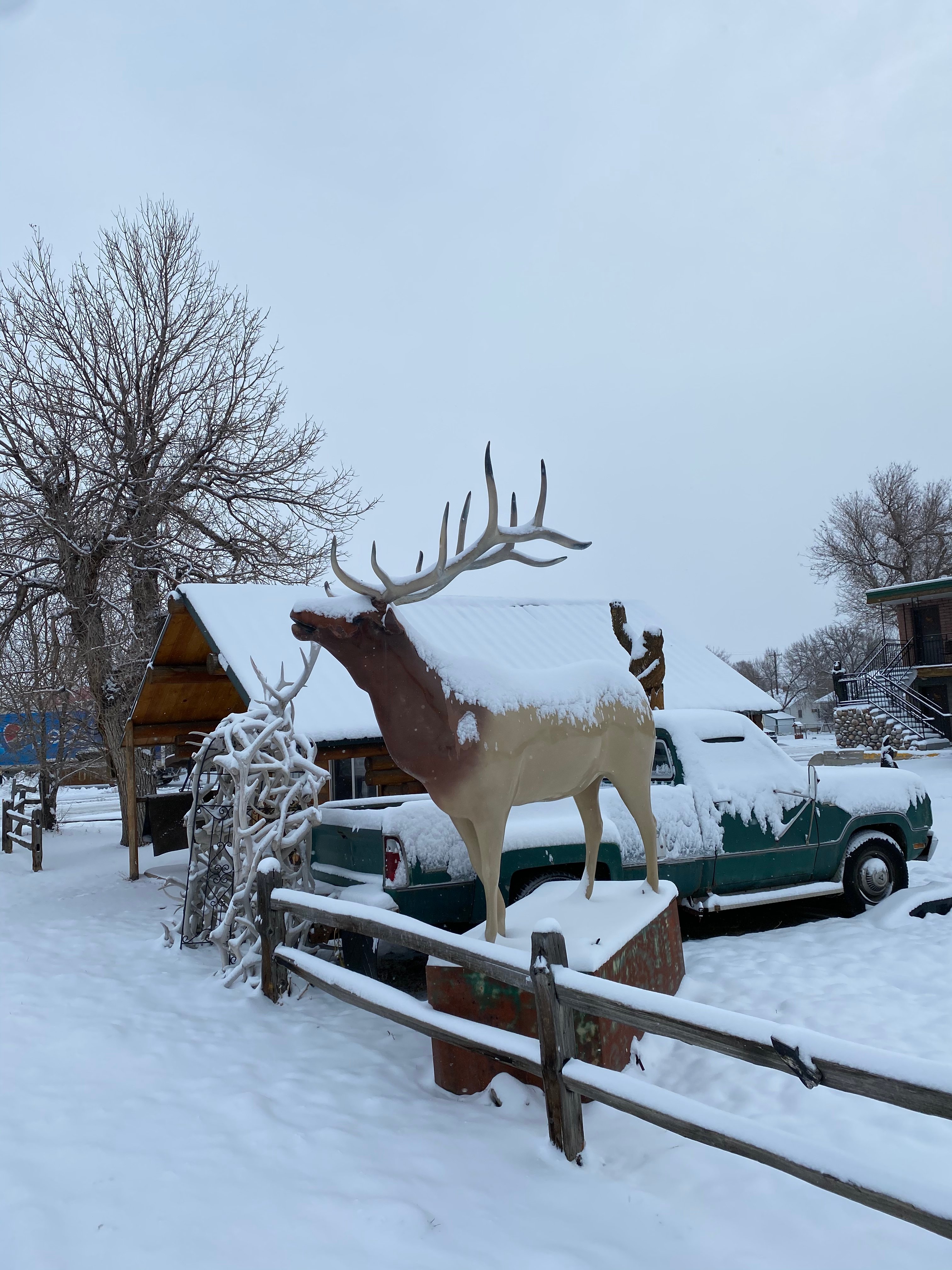 Elk Antler Inn-官方