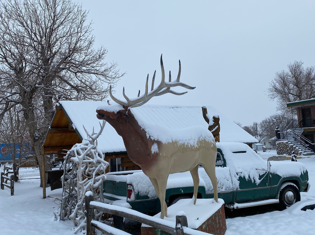 Elk Antler Inn主图