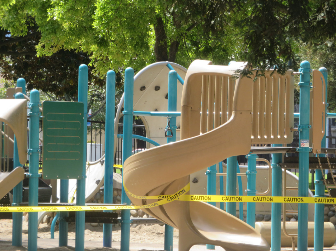 Rengstorff Park & Pool-山景城必去景点