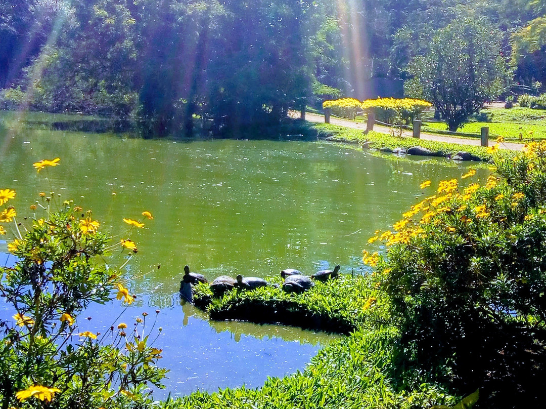 风车公园-阿雷格里港必去景点