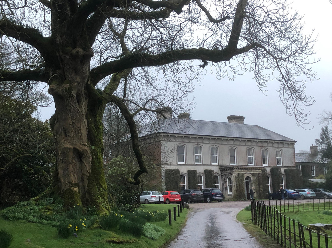 Ballyvolane House主图